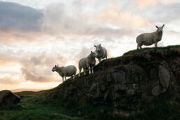 A van road trip in Scotland by French photographer Clément Herbaux and his new Ricoh grIIIx camera. Un road trip en van en Écosse par le photographe français Clément Herbaux et son nouvel appareil photo Ricoh grIIIx