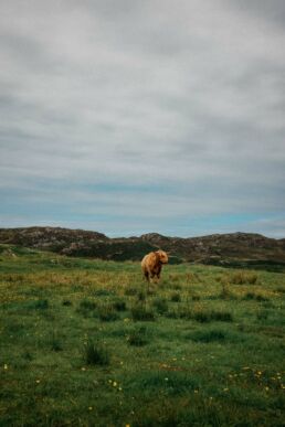 A van road trip in Scotland by French photographer Clément Herbaux and his new Ricoh grIIIx camera. Un road trip en van en Écosse par le photographe français Clément Herbaux et son nouvel appareil photo Ricoh grIIIx