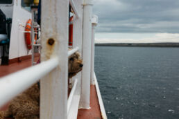 A van road trip in Scotland by French photographer Clément Herbaux and his new Ricoh grIIIx camera. Un road trip en van en Écosse par le photographe français Clément Herbaux et son nouvel appareil photo Ricoh grIIIx