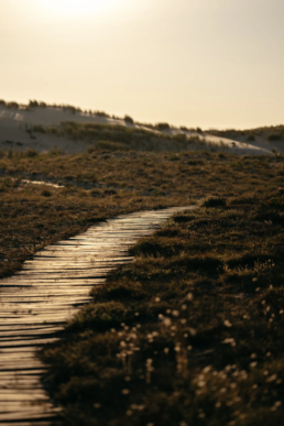 Chemin en caillebotis de bois serpentant à travers les dunes de sable sous une lumière dorée de fin de journée.