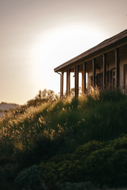 Maison en bois typique sur une dune de sable avec des herbes hautes au coucher du soleil dans les Landes.